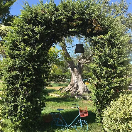 Trulli Il Bouganville Private Pool And Relaxation * Ceglie Messapica